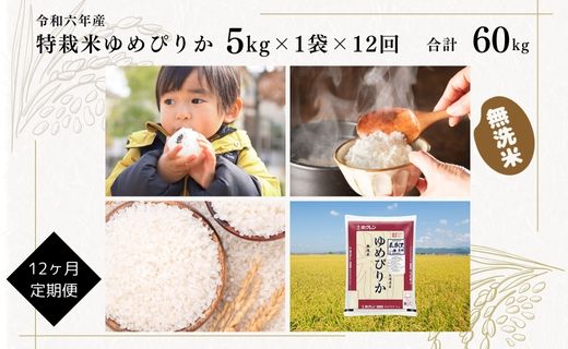 日経トレンディ「米のヒット甲子園」大賞受賞「特栽米ゆめぴりか無洗米5kg」定期便！毎月1回・計12回お届け