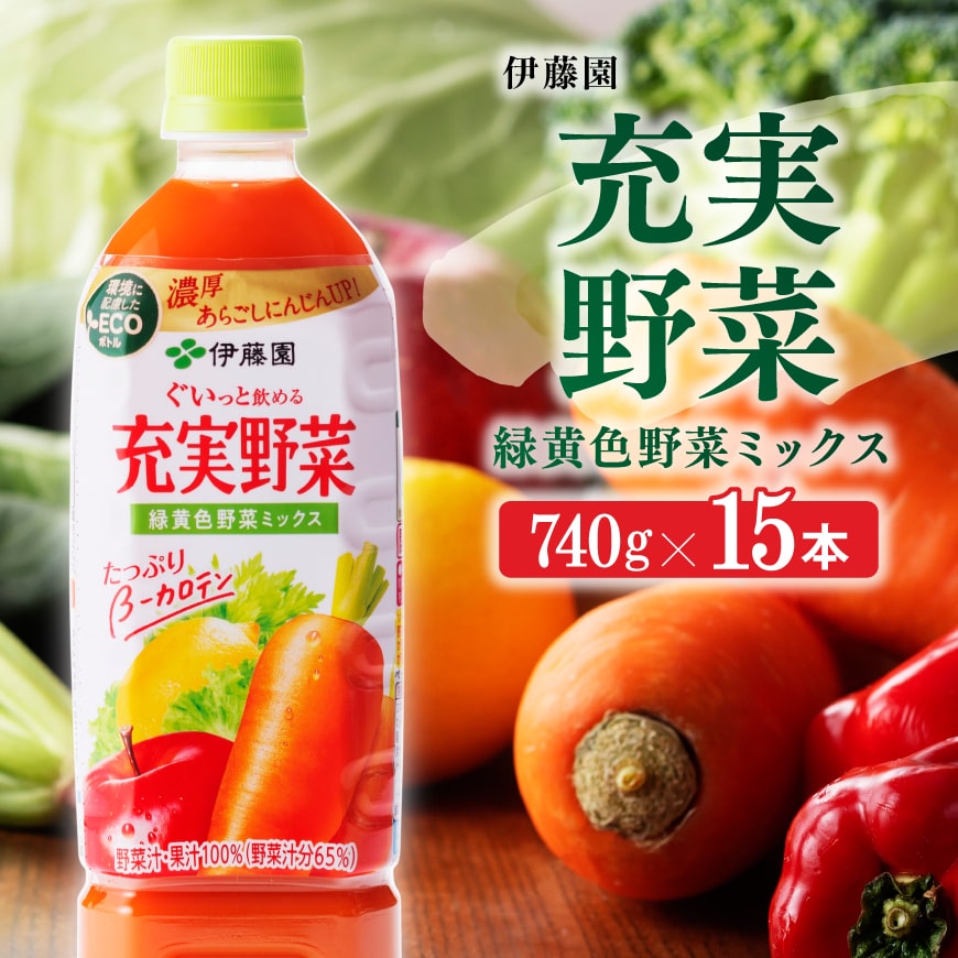 伊藤園 充実野菜 緑黄色野菜ミックス 740g×15本PET 野菜飲料 野菜ジュース ミックスジュース 飲料類 セット ジュース ソフトドリンク ケース