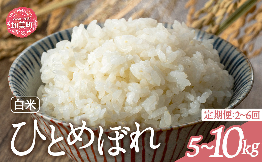 
            【選べる配送回数】 米 宮城県産 ひとめぼれ 5kg 10kg 定期便 ブランド米 白米 精米 ご飯 ごはん コメ こめ お米 小分け 家庭用 結心ファーム [ 宮城県 加美町 ]  
          