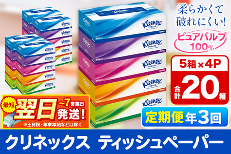 《4ヶ月ごとに3回お届け》定期便 ティッシュ クリネックス 20箱 5箱×4パック 秋田市オリジナル