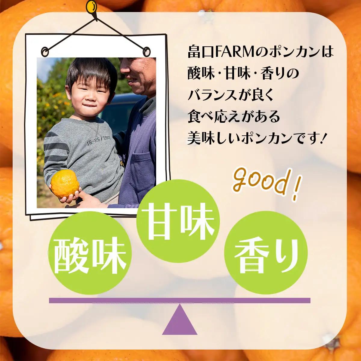 【先行予約】訳ありポンカン ＜5kg＞ Lサイズ