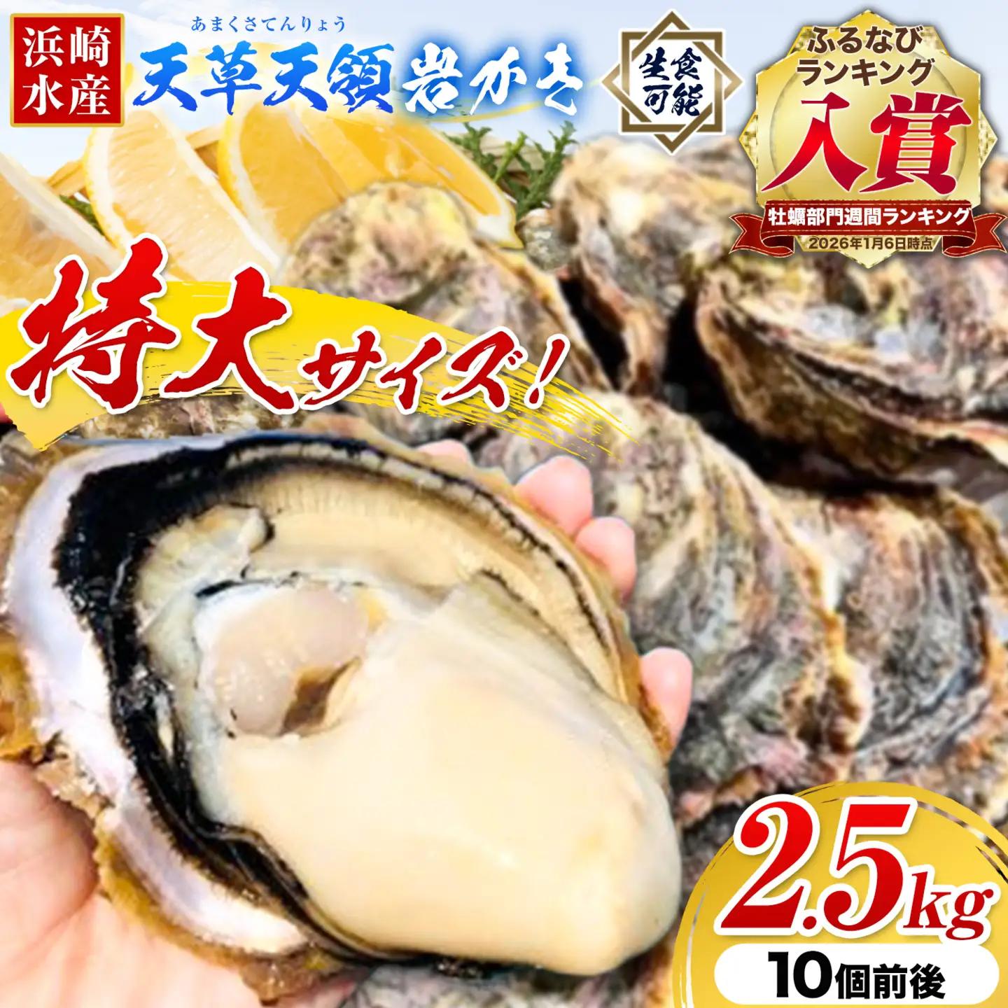 岩牡蠣 2.5kg かき 浜崎水産 牡蠣 生食