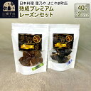 【ふるさと納税】＜お中元 ギフト＞熟成プレミアムレーズンセット 40g×2パック