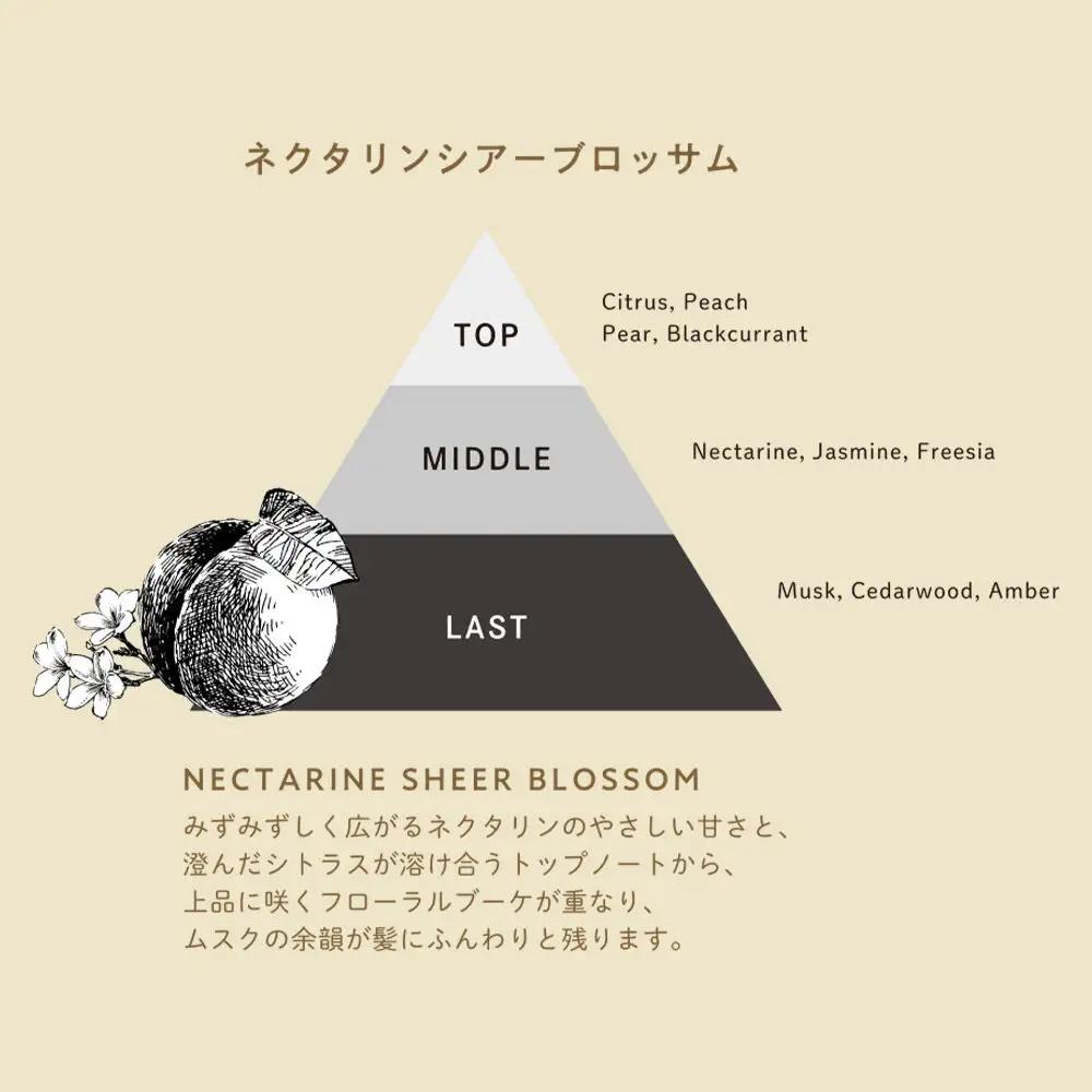 DeepLayer ディープレイヤー トリートメント ExV 60g×1個