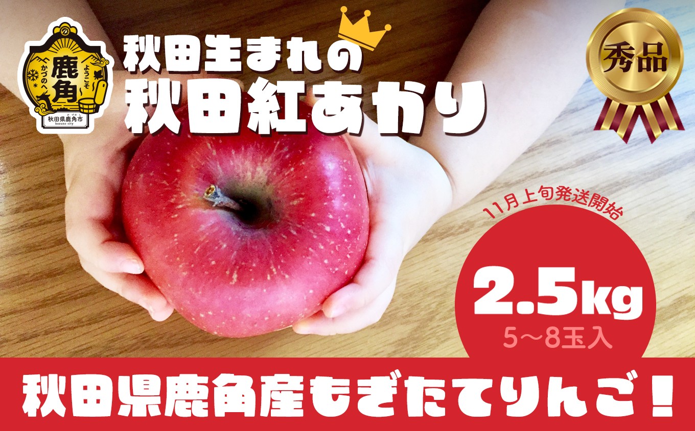 
                  《 先行予約 》秋田県鹿角産りんご 秀品 「 秋田紅あかり 」 約 2.5kg （5～8玉入）●2026年11月上旬発送開始 【ケーケー農園】かづのりんご 食感 果汁 さっぱり リンゴ 完熟 旬 県産りんご 林檎 お中元 お歳暮 贈り物 お見舞い グルメ ギフト 故郷 秋田 あきた 鹿角市 鹿角 送料無料
                
