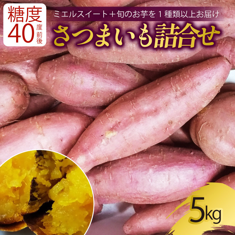 【ふるさと納税】 新芋発送開始 サツマイモ 詰め合わせ 5キロ ミエルスイート ＋1種類以上 安納黄金 紅はるか 土佐紅 焼き芋 焼いも 焼芋 やきいも 野菜 やさい 食品 人気 おすすめ 高知県 南国市