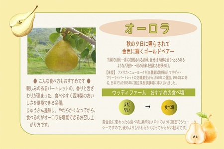 西洋梨（オーロラ）３ｋｇ　７玉　５L～６L　特秀品　0062-2503