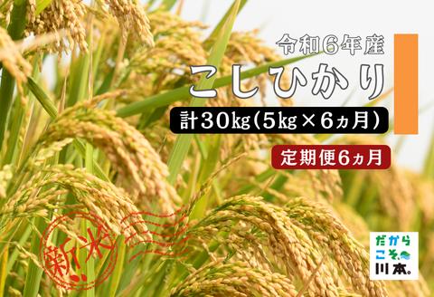 150260【令和6年産／お米定期便／6ヵ月】しまね川本こしひかり5kg(計30kg）