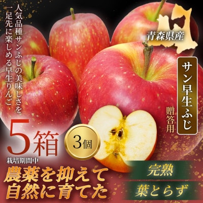 【青森直送 季節の味覚をお届け】サン早生ふじ 3個入×5箱(贈答用)2026年産 産地直送 限定生産【配送不可地域：離島】【1700940】