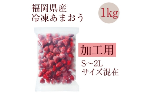 ＜濃厚な味わい!＞冷凍いちご「博多あまおう」1kg (水巻町)【1753507】