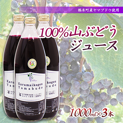 
            ＜軽米町産ヤマブドウ使用＞100%山ぶどうジュース　1000ml×3本【1101957】
          