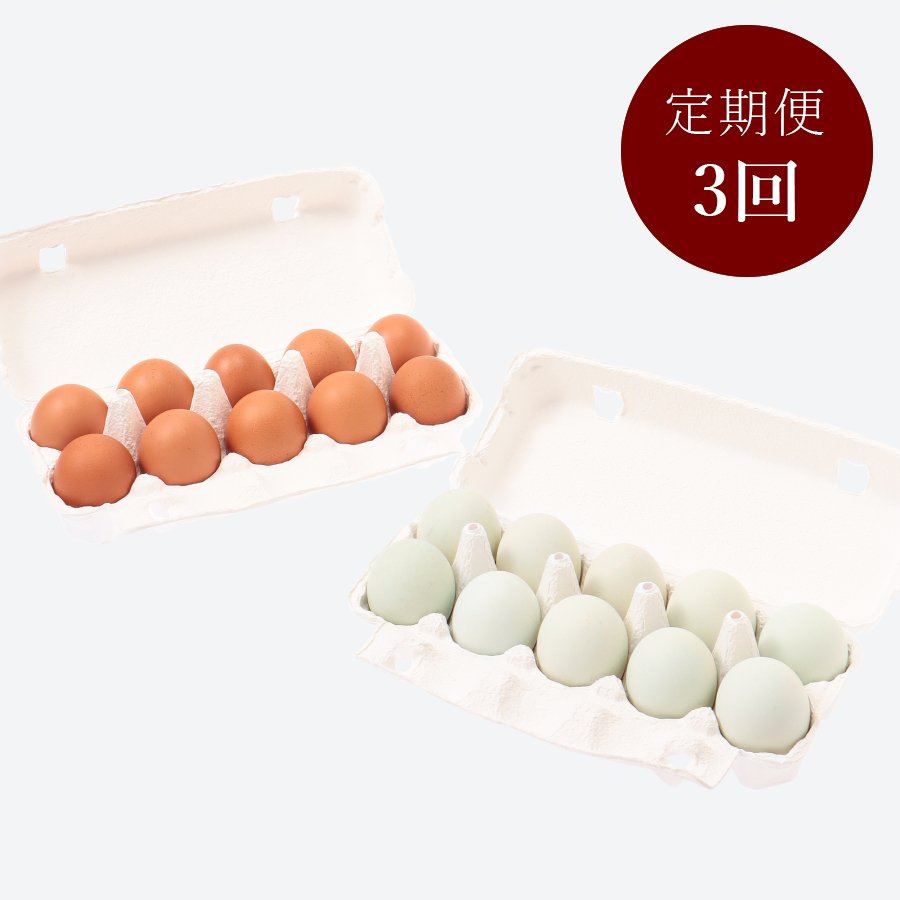＜関匠卵＞ひびき（10個）・アローカナ（10個）各10個×2　3回定期便