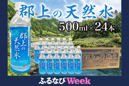郡上の天然水 500ml(24本入)1箱