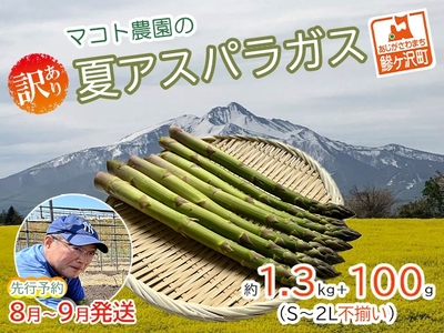 アスパラガス 夏 訳あり 不揃い マコト農園 青森県産 アスパラガス【約1.3kg+100g S〜2L 約50本】【先行予約】