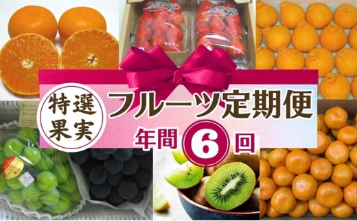 
                  フルーツ 定期便 年 6回 香川県産 国産 さぬきひめ 讃岐 せとか しらぬひ 不知火 いちご 苺 シャインマスカット ピオーネ ぶどう さぬきキウイっこ キウイ キウイフルーツ 石地みかん みかん 柑橘 定期 フルーツ定期便 冷蔵配送 常温配送 香川県 観音寺市
                