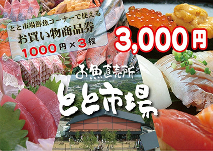 とと市場鮮魚コーナーで使えるお買い物券(3,000円分・1000円券×3枚)) 福岡県 芦屋町 市場 お買物券 チケット 商品券 利用券 地域のお買物券【とと市場】as14-001
