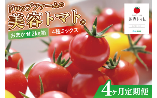 【4ヶ月定期便】【11月より順次発送】ドロップファームの美容トマトおまかせ2kg箱(４種ミックス)【とまと フルーツトマト 野菜ソムリエ 朝採れ アイコ イエローアイコ 小鈴 フルティカ 野菜 フレッ