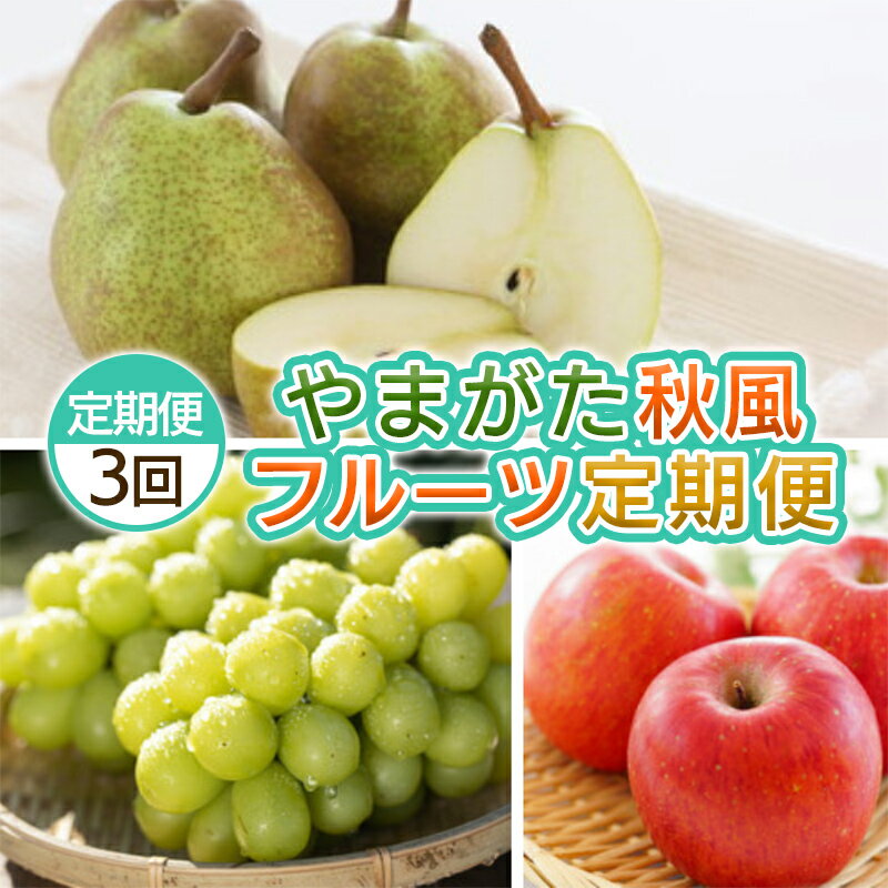 【ふるさと納税】【定期便3回】やまがた 秋風フルーツ定期便 【令和8年産先行予約】FS25-697くだもの 果物 フルーツ 山形 山形県 山形市 お取り寄せ 先行予約 2026年産