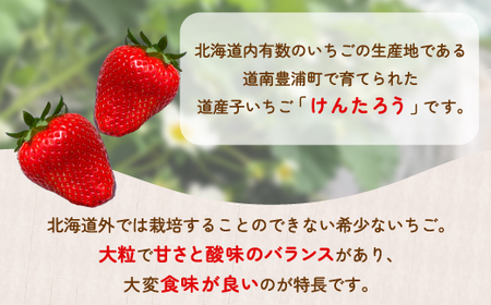  【2025.4月以降順次出荷】【北海道内限定配送】いちご「けんたろう」250g×4パック 【 ふるさと納税 人気 おすすめ ランキング 果物 いちご苺 イチゴ 国産いちご 国産苺 けんたろう セット