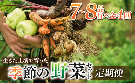 先行予約【里山JAPAN】【４回定期便】生きた土壌で育った『季節の野菜セット』｜２０２５年７月以降発送予定