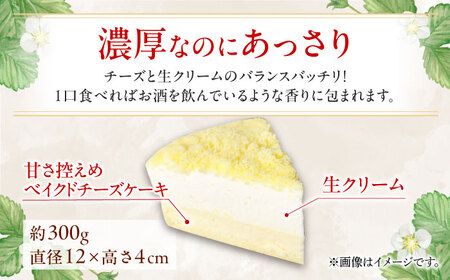 福岡八女の酒蔵喜多屋公認 芳醇フロマージュ 約300g×1 / フロマージュ ケーキ [AFAK005]