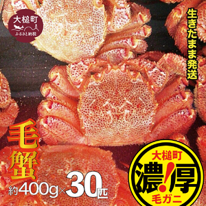 【令和9年発送】三陸産！活毛ガニセット 400g×30杯【08】【2027年2月～4月発送】