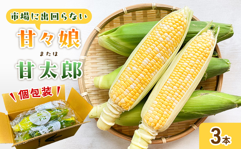 【6月下旬頃より順次発送】とうもろこし 先行予約 甘々娘 または 甘太郎 3本 テルもろこし 個包装 レンジ調理 レンチン 野菜 夏 旬 冷蔵 冷蔵配送 静岡 浜松市【配送不可：離島】