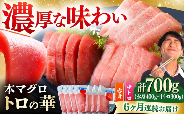 
                  【全6回定期便】対馬産 本マグロ 700g（赤身400g、中トロ300g） ≪対馬市≫【桐谷商店】 トロの華 対馬 新鮮 マグロ トロ 鮪 刺身 鮮度抜群 [WAQ049]
                