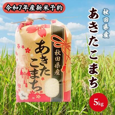 ふるさと納税 潟上市 【新米予約】令和7年産 秋田県産あきたこまち(精米)5kg　9月下旬より順次発送