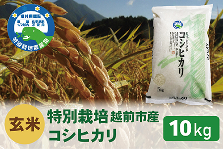 〈先行予約〉【令和6年度新米 玄米】特別栽培 越前市産コシヒカリ 10kg