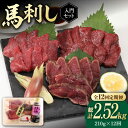 【ふるさと納税】【全12回定期便】熊本の味 赤身 馬刺し 入門セット 2種 約210g【有限会社 九州食肉産業】[ZDQ022]