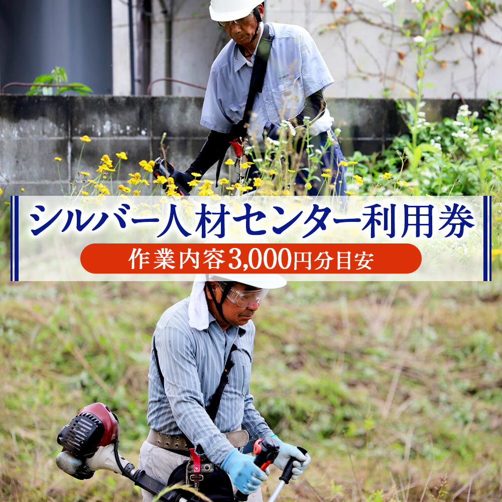 【ふるさと納税】シルバー人材センター利用券(作業内容3,000円分目安) 草刈り 除草 除雪 掃除 サービス 清掃 利用券 送料無料