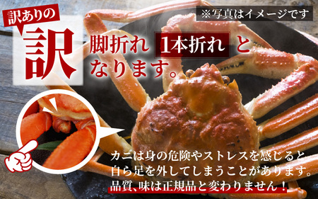 【先行予約】【訳あり】 越前がに 中 (約550g～700g)×2杯【11月～12月発送】