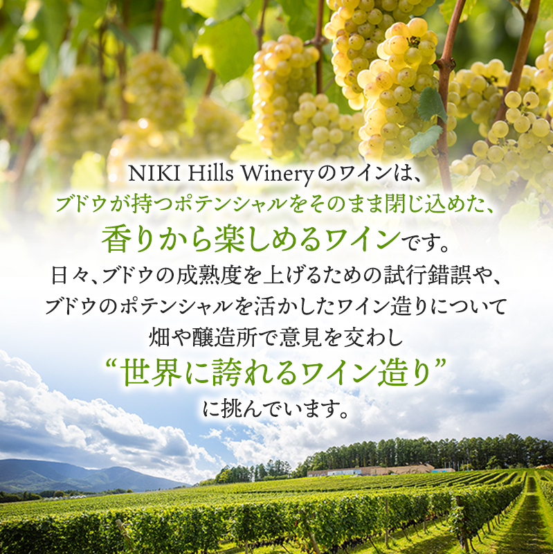 NIKI Hills Winery 白ワイン【 NEIRO 2023 Assemblage 】 750ml ワイン 洋酒_イメージ3