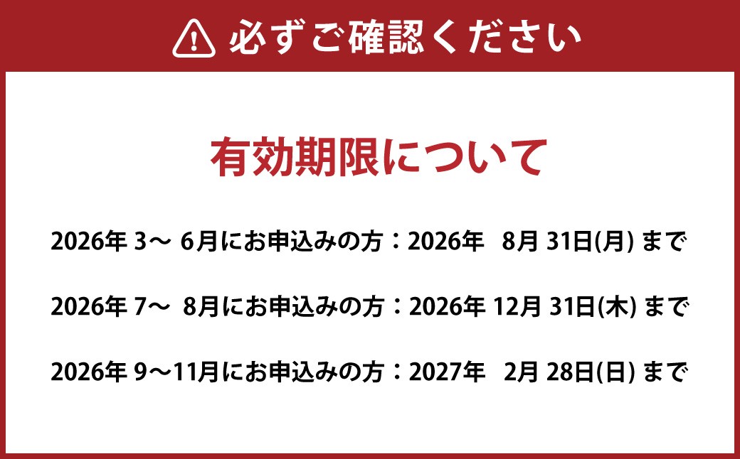 ナガシマ リゾート ナガシマ スパーランド パスポート券  大人2名 【有効期限有り】