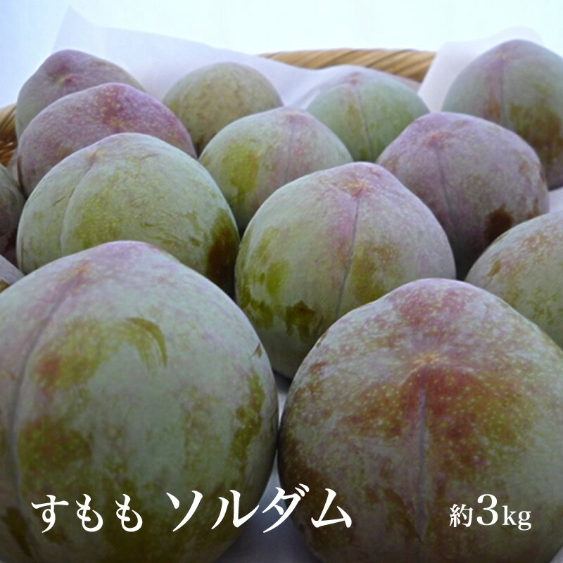 【ふるさと納税】 【2025年／令和7年発送先行予約】すもも「ソルダム」10～13玉入り×2箱約3kg ふるさと納税 すもも ソルダム 果物 フルーツ 10玉 おすすめ 山梨県 南アルプス市 送料無料 ALPAA002