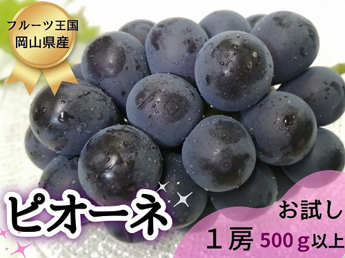 
HF-10.【お試し】フルーツ王国岡山の人気ぶどう　ピオーネ１房500ｇ以上！

