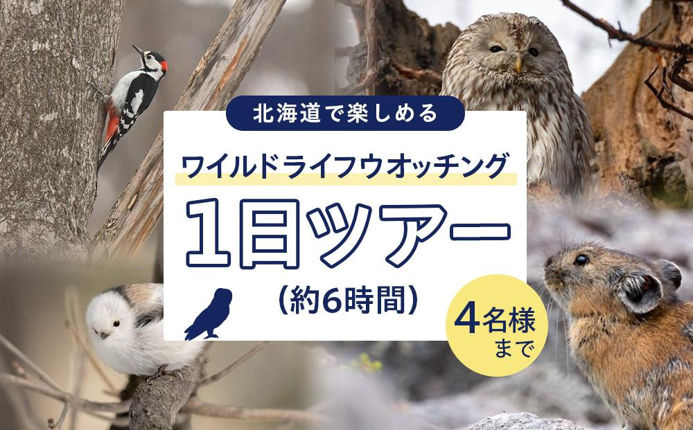 
道認定「北海道アドベンチャートラベルガイド」が案内するワイルドライフウォッチング1日ツアー　【4名様分体験チケット】 約6時間
