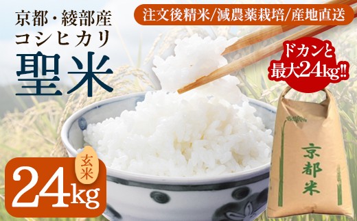 業務用 京都府産コシヒカリ 聖米 玄米24kg / 米 玄米 国産 綾部市 / 有限会社カメイ［BSDY076］
