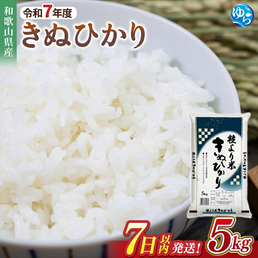 【ふるさと納税】 【7日以内発送】 令和7年度産 きぬひかり 5kg 10kg ※お届け日指定不可※ / 白米 お米 キヌヒカリ 精米 スピード配送 //best