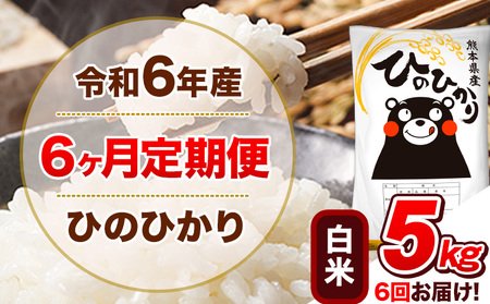 定期便 令和6年産 【6ヵ月定期便】 白米 ひのひかり 5kg｜米定期米定期米定期