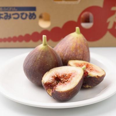 ふるさと納税 大任町 【先行受付】福岡産ブランドいちじく・とよみつひめ約300g×4パック(大任町)