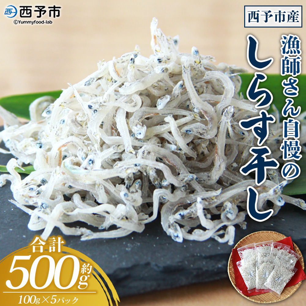 ＜漁師さん自慢のしらす干し 合計500g（100g×5パック）＞ シラス 魚介類 さかな 海産物 海鮮 海の幸 小分け 国産 ご飯のお供 丼 おつまみ 晩酌 おかず おやつ 特産品 産地直送 濵田水産 愛媛県 西予市