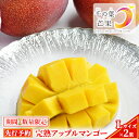 【ふるさと納税】【千の葉ライチ】完熟アップルマンゴーL×2果入 （先行予約）【マンゴー フルーツ 高級果実 国内】　 果物 フルーツ 国産 デザート 食後 高級果実 新鮮 完熟マンゴー 国産マンゴー 化粧箱入り 　お届け：2024年6月下旬～7月下旬まで