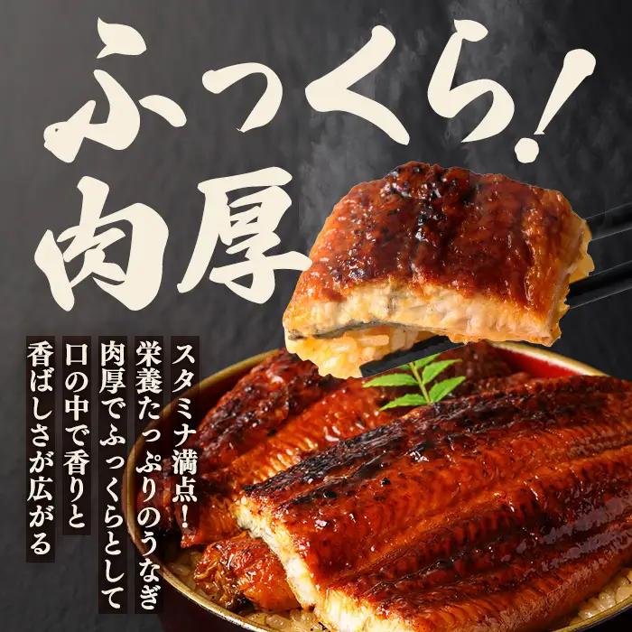 うなぎ 訳あり 1尾 計300g以上 すぐ届く【うなぎ】【ho1684】