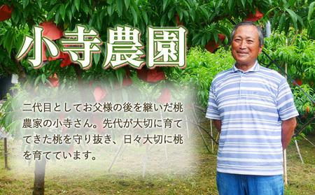 桃 なつおとめ 2kg　白桃