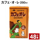 【ふるさと納税】カフェ・オ・レ 250ml 48本 カフェオレ 牛乳 コーヒー 珈琲 乳飲料 らくのうマザーズ ジュース ドリンク 熊本県産 国産 九州 熊本県 菊池市 送料無料