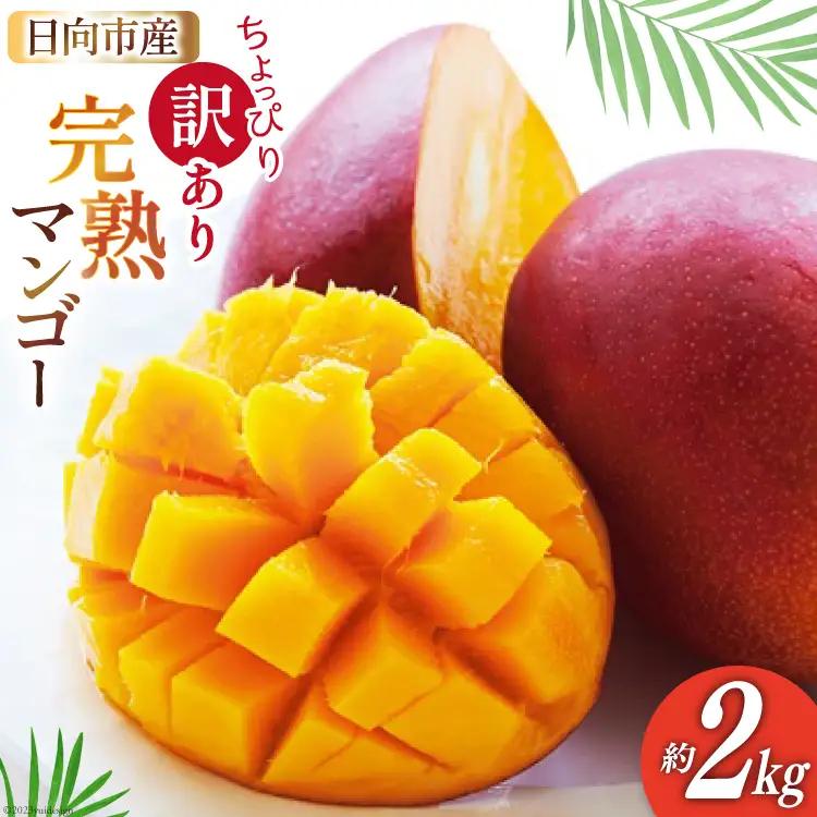 【2027年夏発送】訳あり 完熟 マンゴー 約2kg
