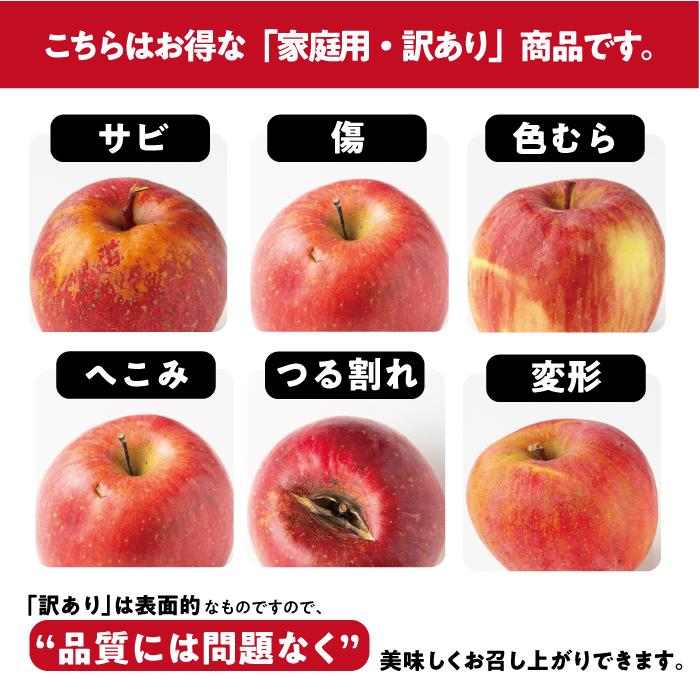 季節のおいしい所取りりんご 【 定期便 】 家庭用 3kg × 3回 大友農場 エコファーマー認定 沖縄県への配送不可 2026年8月中旬頃から2026年12月下旬頃まで順次発送予定 令和8年度収穫分