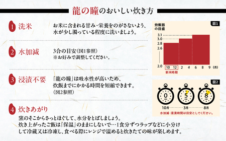 新米予約受付【2025年産米】【定期便】2kg×6回 飛騨産・龍の瞳（いのちの壱）株式会社龍の瞳直送 精米 ブランド米 米 2キロ×6か月（計 12キロ）りゅうのひとみ 龍【14-50】